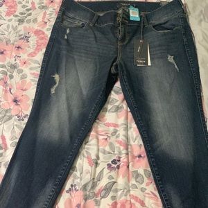 Torrid Premium Jeggings